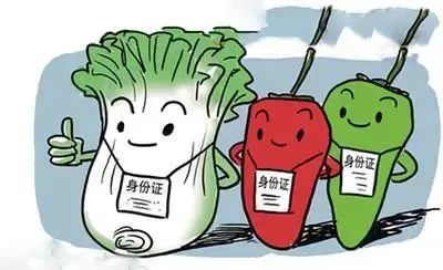 進(jìn)出口食品添加劑海關(guān)監(jiān)管指南