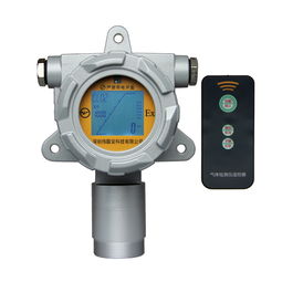 守護(hù)安全與清新 可燃?xì)怏w檢測(cè)儀與惡臭監(jiān)測(cè)儀的雙重防護(hù)